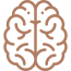 brain-1-qutt5djd7wifqumkewubyk6xyhm8p09h6rlxk97362