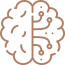 brain-4-qutt5i8k62ovcwfqngvgt108xez2rhs4vevcyn04ay